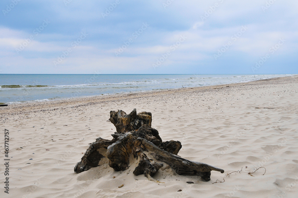 Beach landscape on the Baltic Sea in Polan