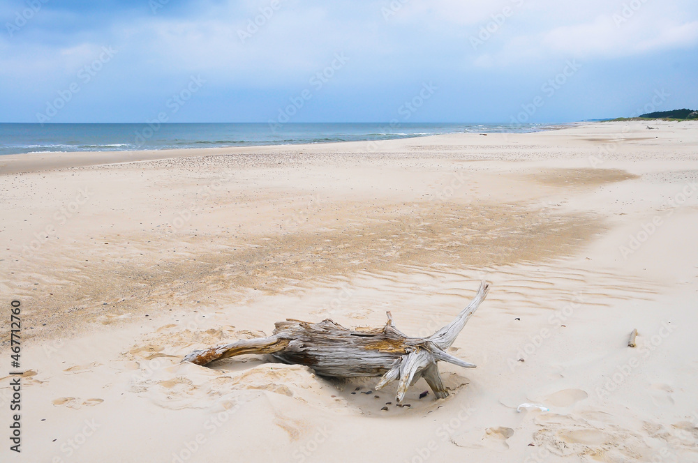 Beach landscape on the Baltic Sea in Polan Beach landscape on the Baltic Sea in Polan