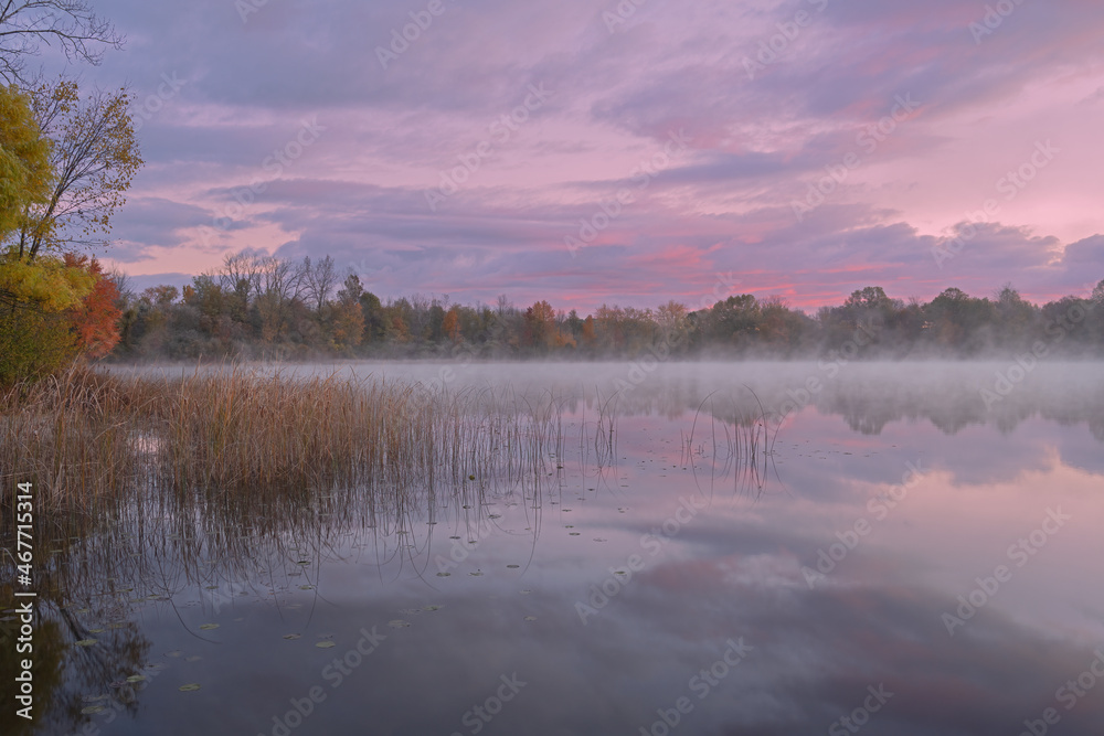 Fototapeta premium Foggy autumn landscape at dawn of the shoreline of Whitford Lake with mirrored reflections in calm water, Fort Custer State Park, Michigan, USA