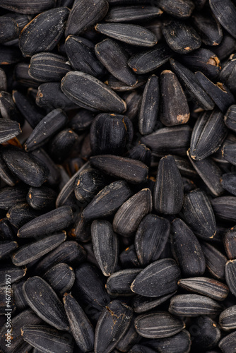 Wallpaper Mural background of ripe sunflower seeds vertical photo
 Torontodigital.ca