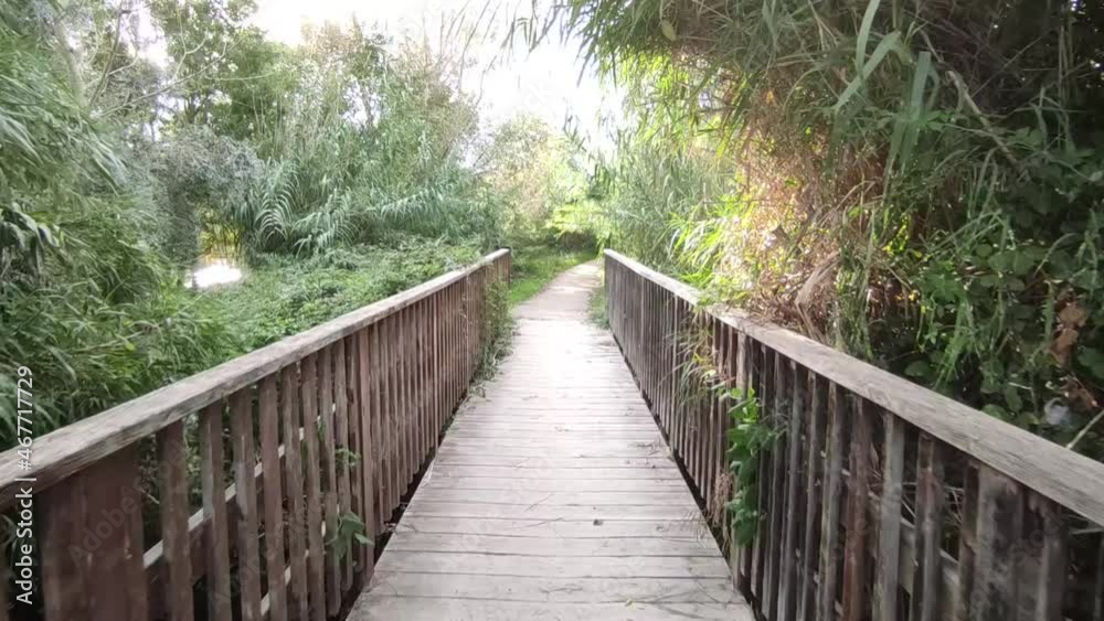 Old wooden bridge. Hiking in the park along the wooden bridge through the thickets, first person view Old wooden bridge. Hiking in the park along the wooden bridge through the thickets, first person view