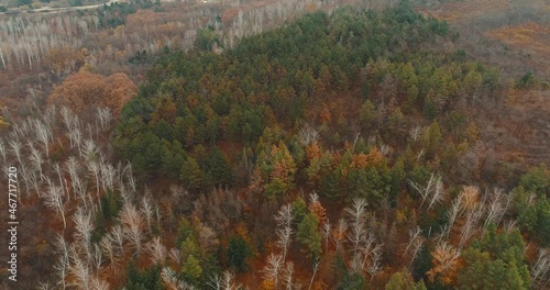 Aerial drone footage of beautiful colorful trees during autumn. photo