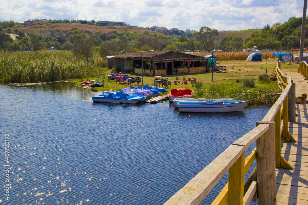 beutiful view of lake in summer