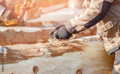 Preparation of timber for construction of log wooden houses. Carpenter removes bark from tree to dry wood