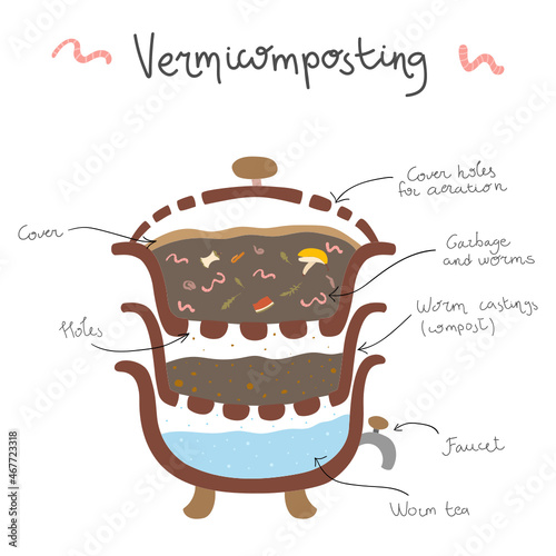 Vermicomposting worm waste management illustration with descriptor diagram. Vector earthworm sustainable zero-waste home or office composter. Doodle illustration with hand-drawn words. photo
