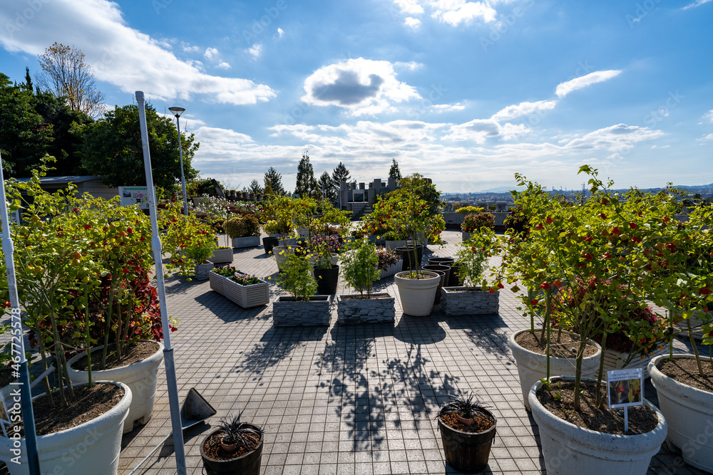 Fototapeta premium 手柄山中央公園