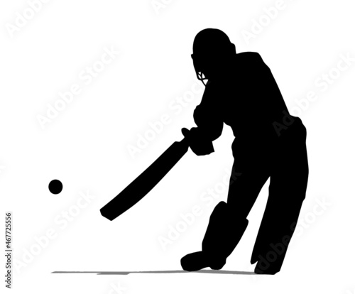 Cricket