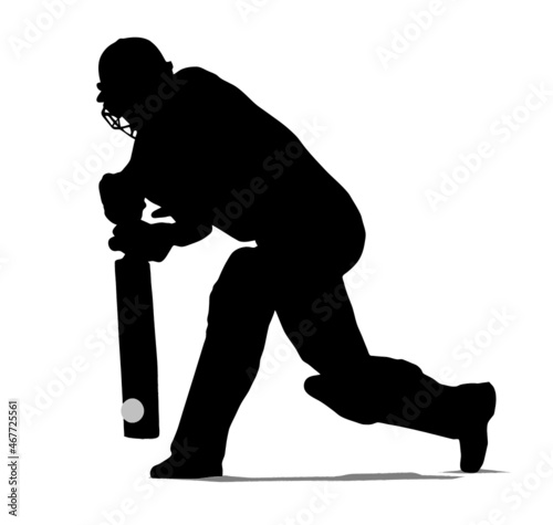 Cricket