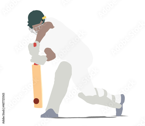 Cricket