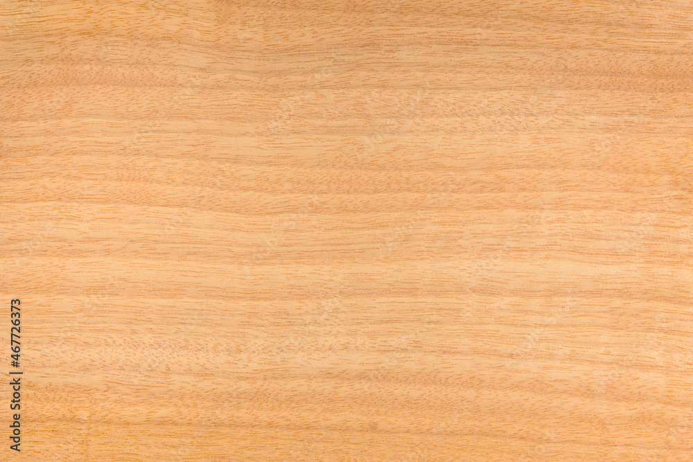 Empty wooden panel Empty wooden panel