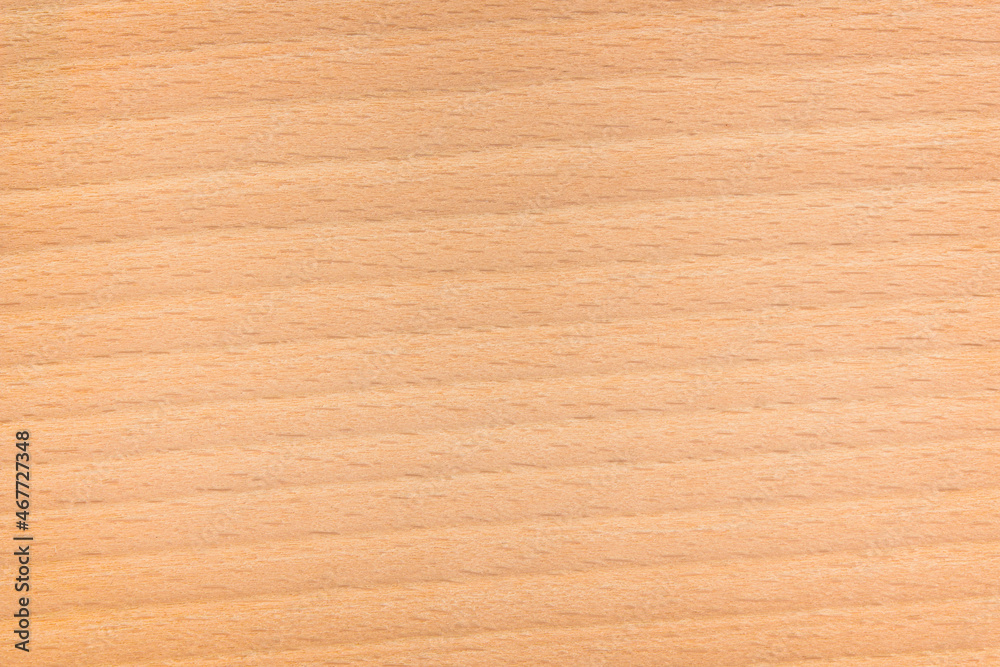 Fototapeta premium Empty wooden panel