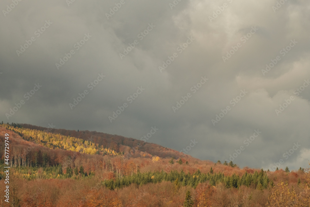Panoramic view of the autumn landscape in the mountains. gray stormy sky. Ukrainian Carpathians.