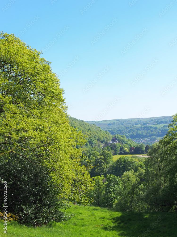 view of the valley and woodland looking over pecket well in calderdale west yorkshire