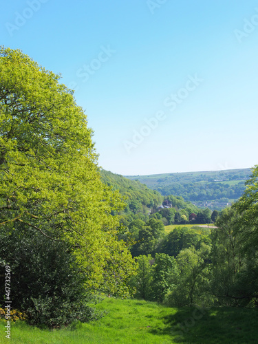 view of the valley and woodland looking over pecket well in calderdale west yorkshire photo