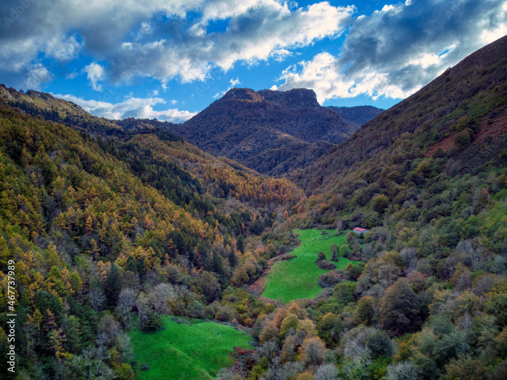 Forest views in autumn in Parres, Asturias.