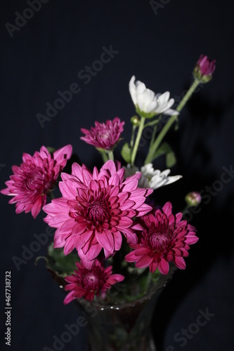 bouquet of pink chrysanthemum