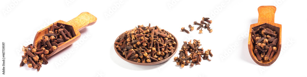 Set of spice clove (Syzygium aromaticum) in scoop, clay plate, bunch on white background isolated. Close up