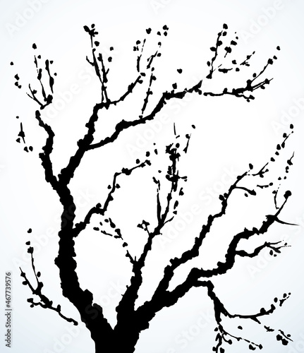 Vector image of mighty tree with bare branches