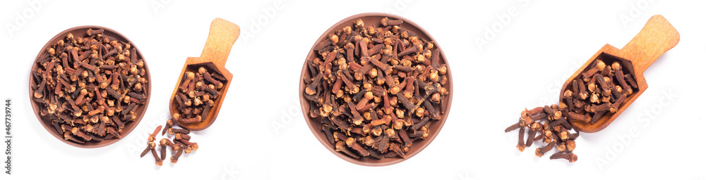 Set of spice clove (Syzygium aromaticum) in wooden scoop, clay plate, scattering on white background isolated. Close up, macro. Flat lay Set of spice clove (Syzygium aromaticum) in wooden scoop, clay plate, scattering on white background isolated. Close up, macro. Flat lay