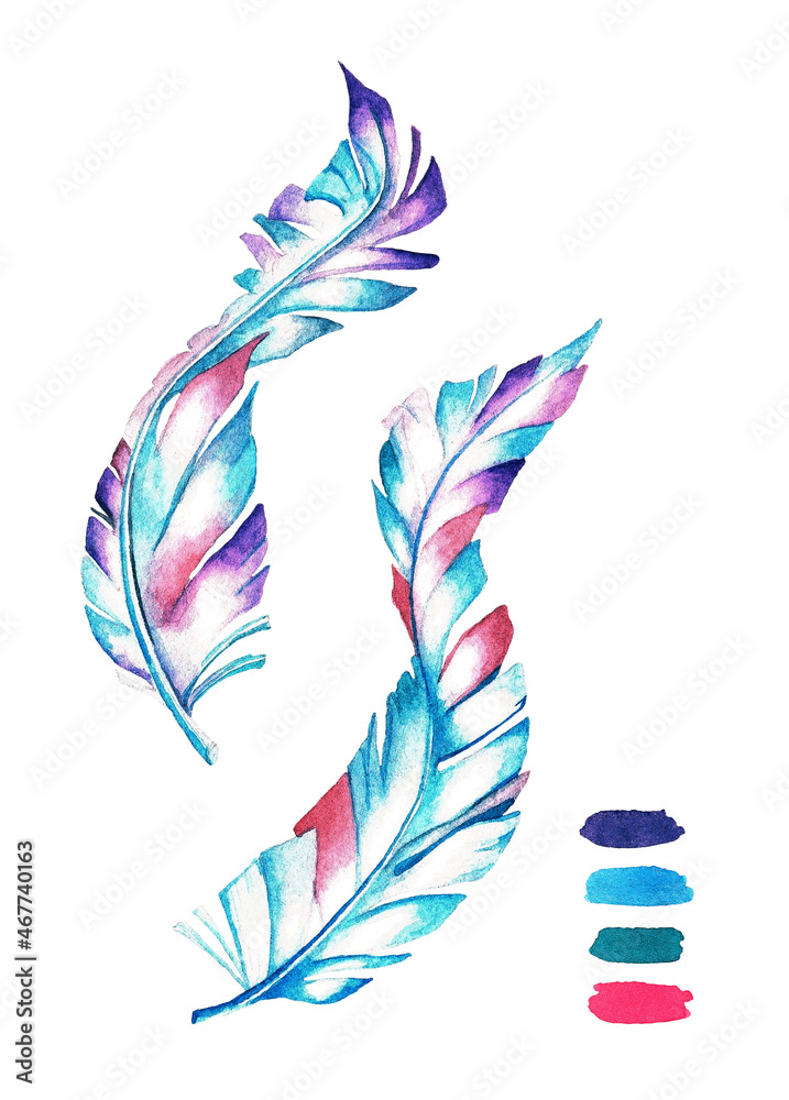 Obraz premium Feathers. Watercolor