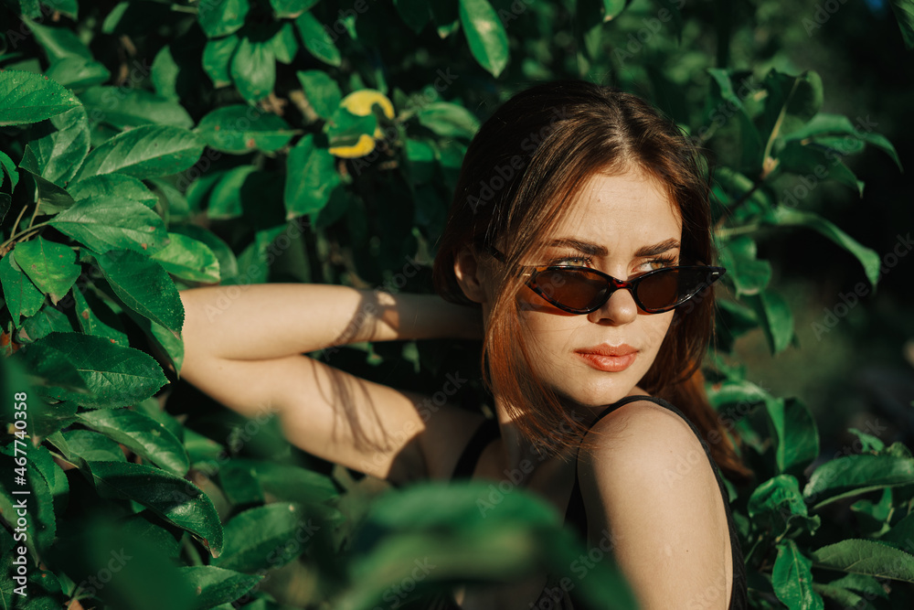 cheerful fashionable woman in sunglasses and green leaves russian summer cheerful fashionable woman in sunglasses and green leaves russian summer
