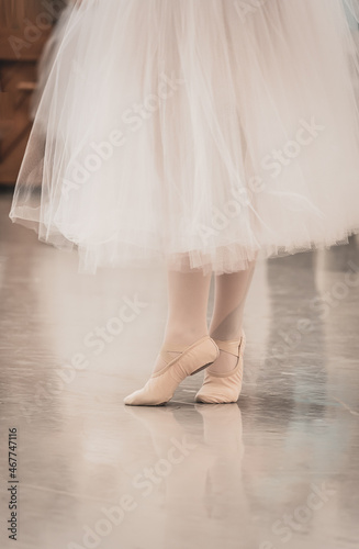 Ballet dancers and nutcracker attire