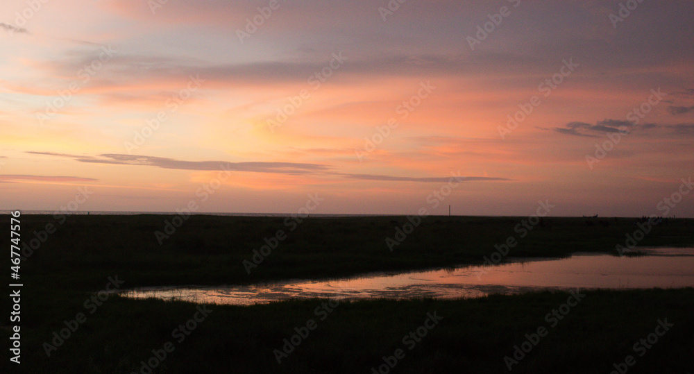 Naklejka premium sunset over the sea