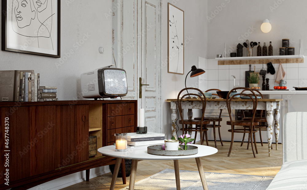 Old vintage retro parisian mid century apartment interior