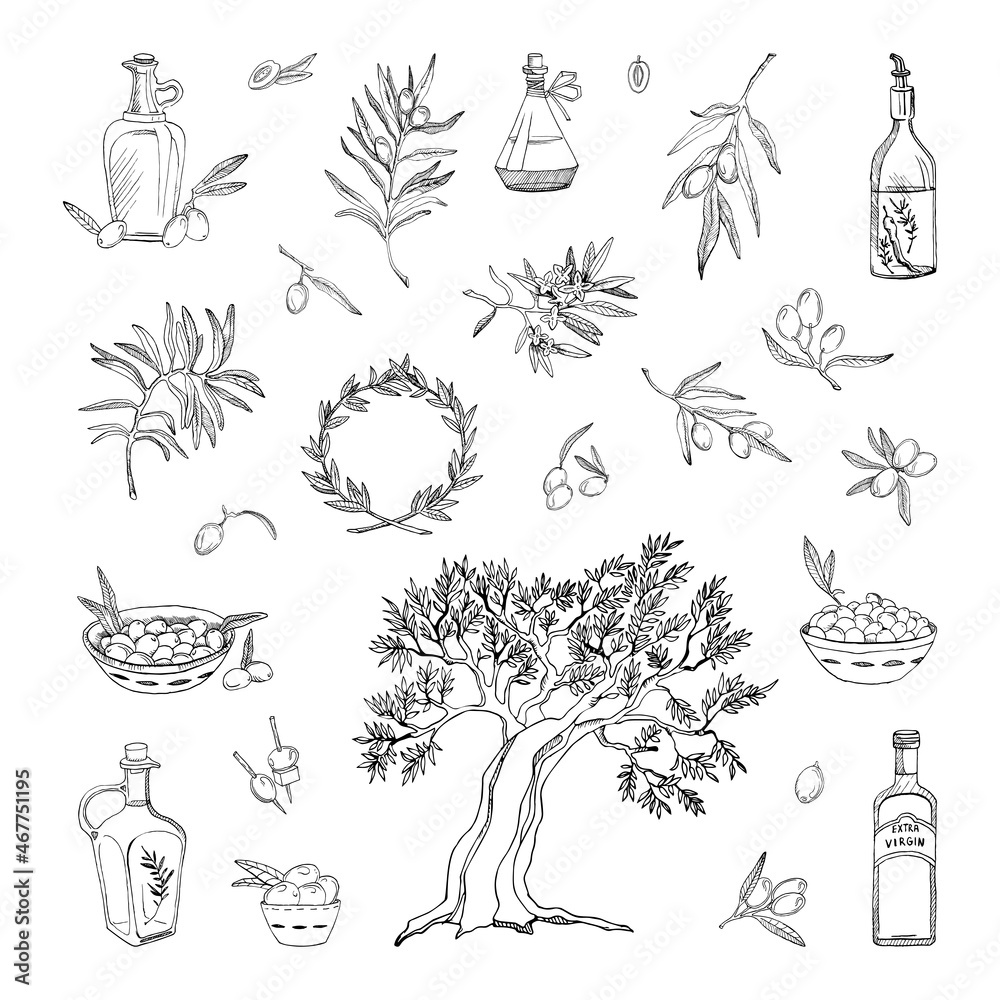 Collection of monochrome illustrations with olives in sketch style