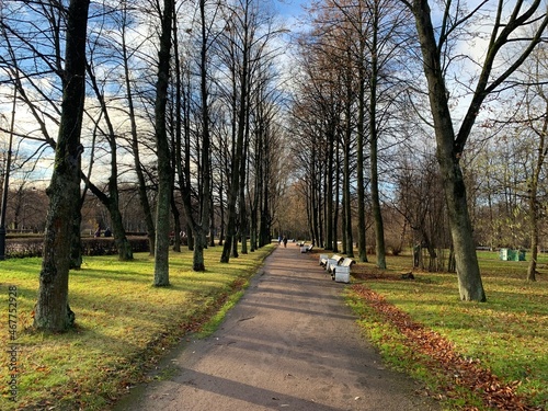 Fototapeta Naklejka Na Ścianę i Meble -  Empty alley in the park