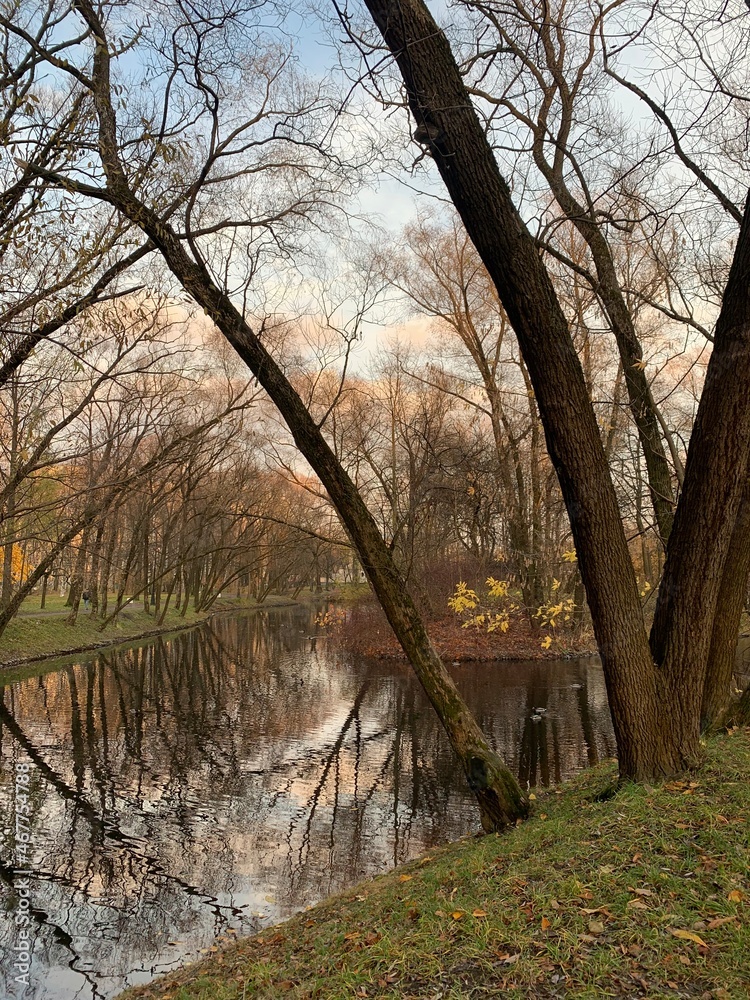 Autumn trees by the pond in the empty park Autumn trees by the pond in the empty park