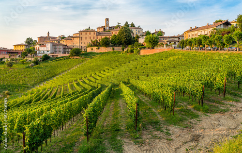 The beautiful village of Neive and its vineyards in the Langhe region of Piedmont, Italy.