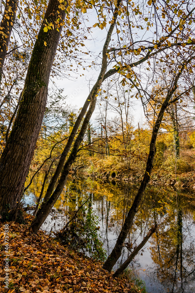 Münchenstein, Birs, Fluss, Birstal, Baselland, Arlesheim, Reinach, Wald, Waldweg, Auwald, Uferweg, Wanderweg, Renaturierung, Herbst, Herbstfarben, Herbstlaub, Herbstsonne, Dorf, Basel, Schweiz