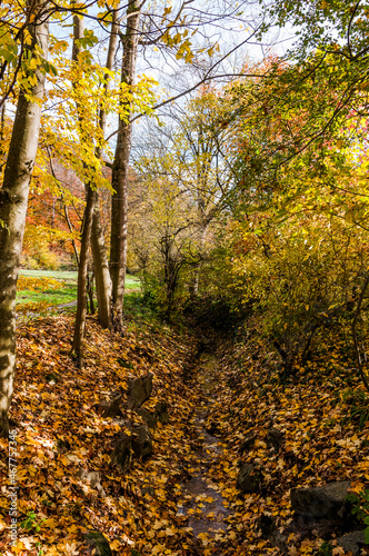 M  nchenstein  Birs  Fluss  Wald  Birstal  Baselland  Waldweg  Auwald  Uferweg  Wanderweg  Renaturierung  Herbst  Herbstfarben  Herbstlaub  Herbstsonne  Dorf  Basel  Schweiz