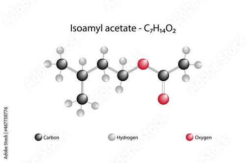 Molecular formula of isoamyl acetate. Isoamyl acetate or isopentyl acetate is an organic compound consisting of isoamyl alcohol and acetic acid. It has a strong odor similar to both banana and pear.