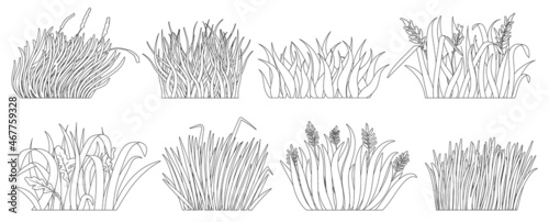 Grass vector outline set icon. Isolated outline set icon lawn. Vector illustration grass on white background.