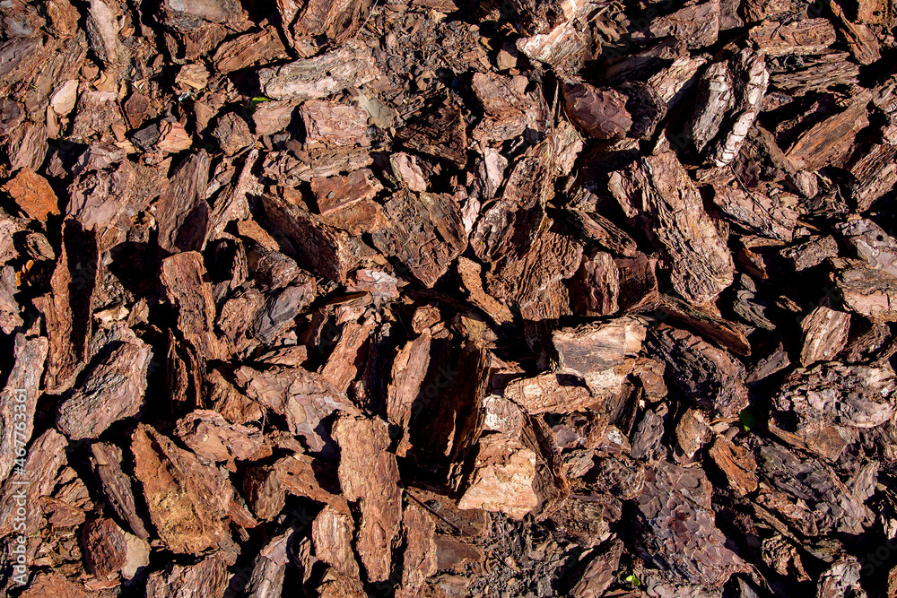 tree bark mulching heap of pieces of wood compost for gardening and landscape care, eco raw surface texture top view, nobody.
