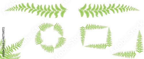 Decorative fern borders, frames and ornaments. Botanical clip art design. Vector natural elements isolated on white background.