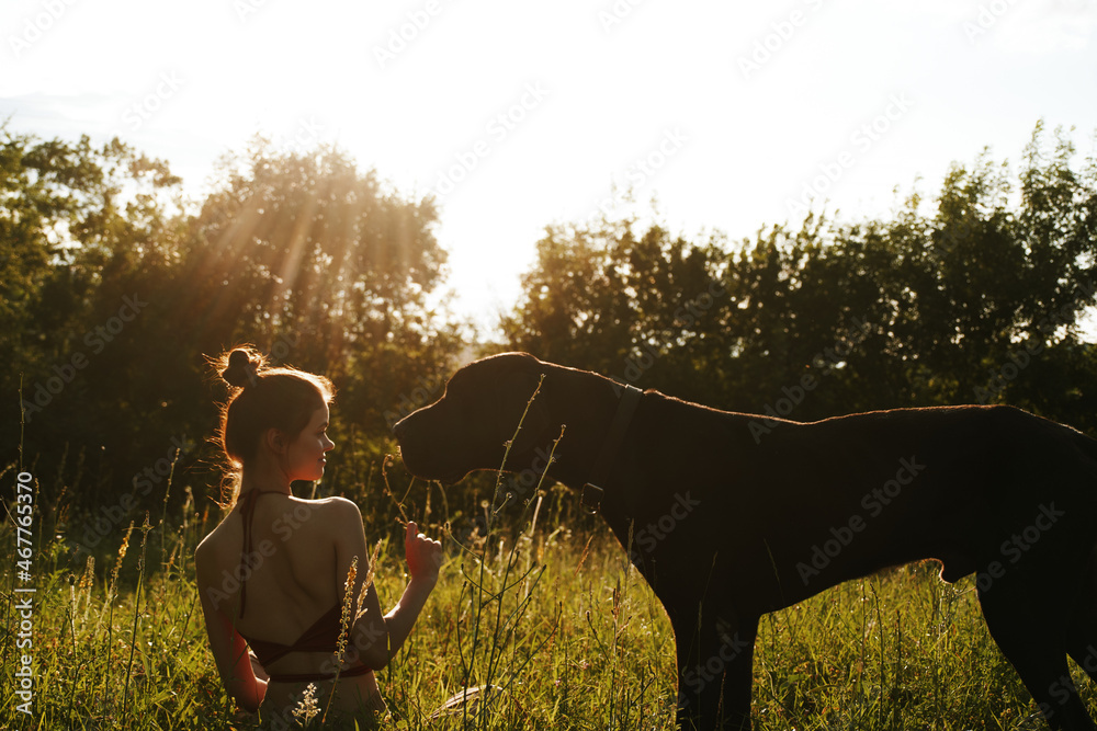 cheerful woman playing with a dog in a field in nature in summer