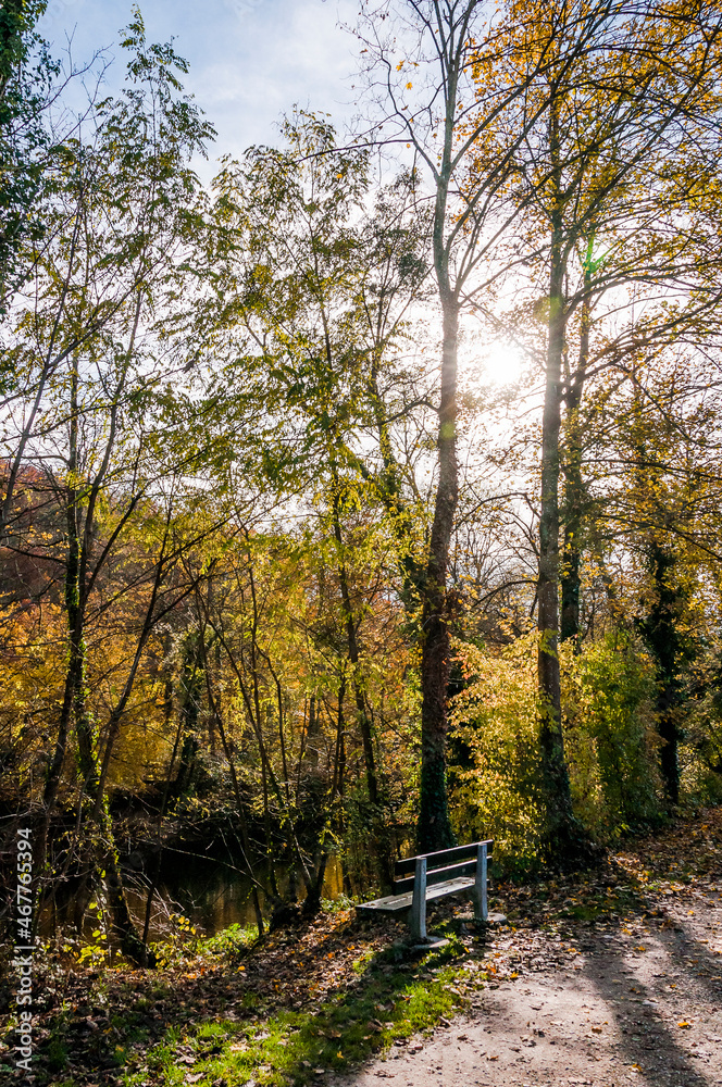 Münchenstein, Birs, Fluss, Parkbank, Birstal, Baselland, Arlesheim, Reinach, Wald, Waldweg, Auwald, Uferweg, Wanderweg, Renaturierung, Herbst, Herbstfarben, Herbstlaub, Herbstsonne, Basel, Schweiz Münchenstein, Birs, Fluss, Parkbank, Birstal, Baselland, Arlesheim, Reinach, Wald, Waldweg, Auwald, Uferweg, Wanderweg, Renaturierung, Herbst, Herbstfarben, Herbstlaub, Herbstsonne, Basel, Schweiz