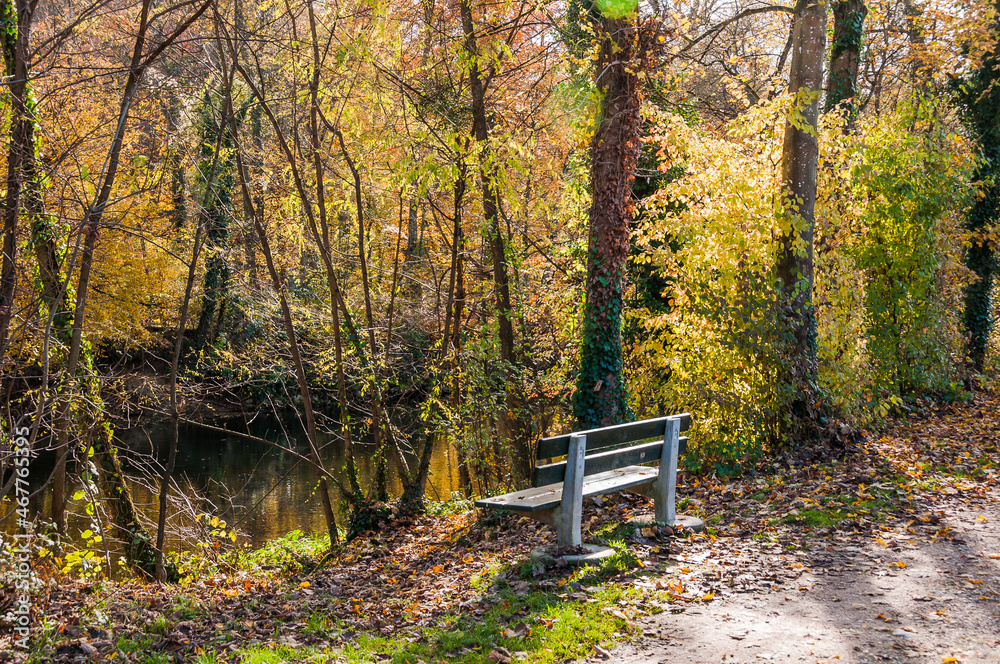 Münchenstein, Birs, Fluss, Birstal, Baselland, Arlesheim, Reinach, Wald, Waldweg, Auwald, Uferweg, Wanderweg, Renaturierung, Herbst, Herbstfarben, Herbstlaub, Herbstsonne, Parkbank, Basel, Schweiz