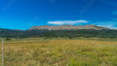 Bridger-Teton National Forest, Wyoming photo