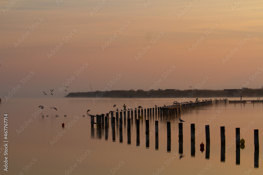 Obraz premium Neusiedlersee