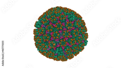 CryoEM structure and atomic model of the Kaposi's sarcoma-associated herpesvirus capsid. Animated 3D Gaussian surface model, entity source color scheme, PDB 6b43, white background photo