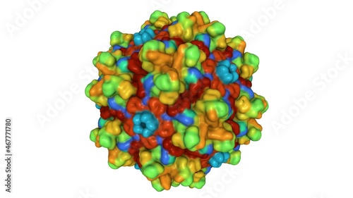 The empty AAV12 capsid. Animated 3D Gaussian surface model, sequence id color scheme, PDB 7l6b, white background photo