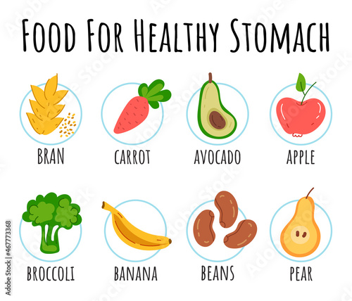Healthy food for stomach isolated infographic design element
