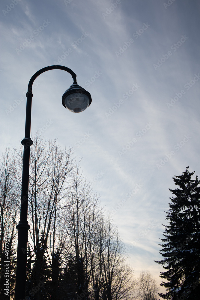 street lamp in the park