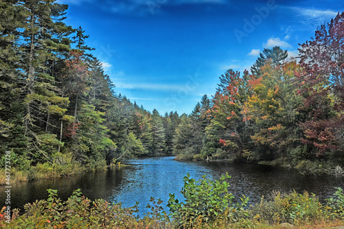 Fototapeta Naklejka Na Ścianę i Meble -  Autumn foliage in Northern New England