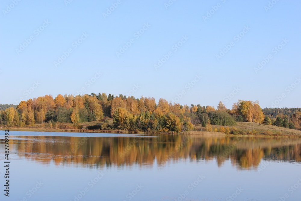 Lake in calm weather, autumn forest on the other side (Karelia)