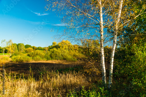 Fototapeta Naklejka Na Ścianę i Meble -  Autumn landscape with colourful trees and grass